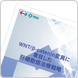 WNT/β-catenin変異に着目した肝細胞癌治療戦略（LEN1308）<br>【会員限定】